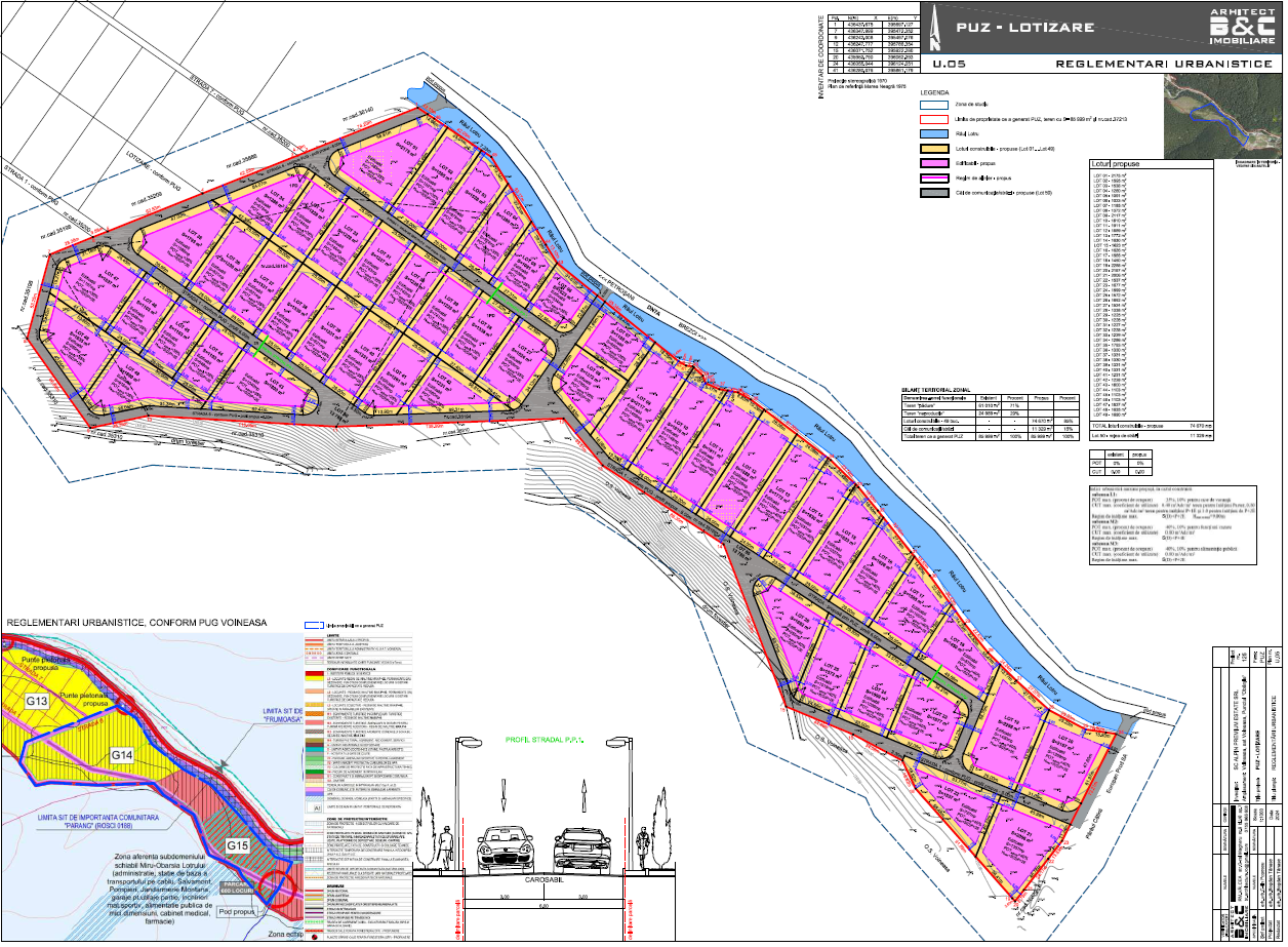 PUZ Lotizare Obarsia Lotrului