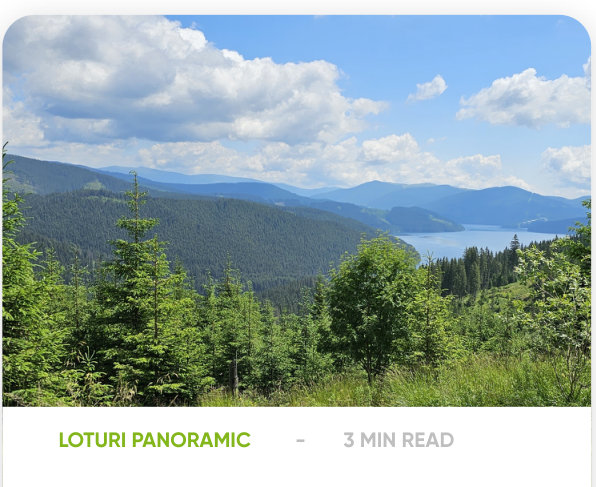 PUZ Lotizare Obârșia Lotrului