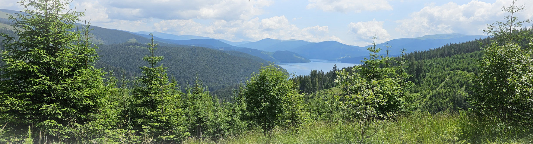 Vedere panoramică de vară